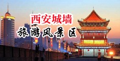 大逼逼黄片中国陕西-西安城墙旅游风景区